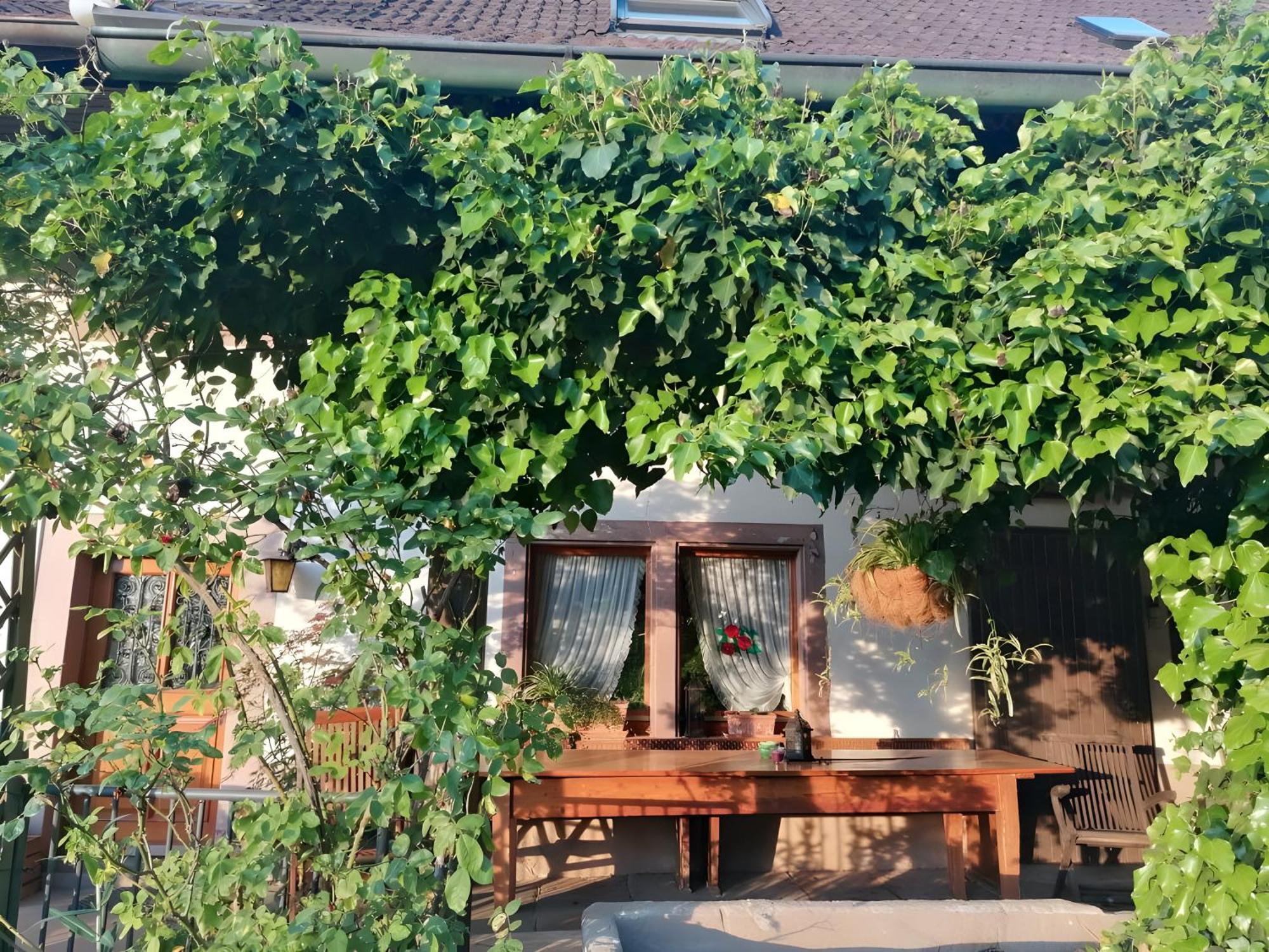 Room In Guest Room - Double Room Apple Blossom Schuttertal Екстериор снимка